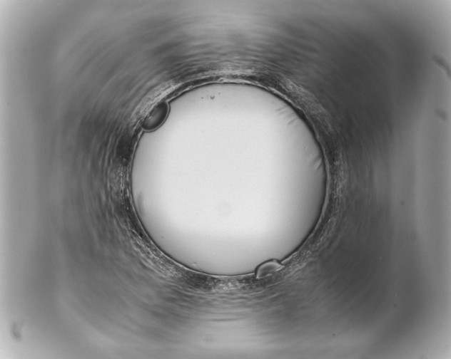 X0000102271169200808151857