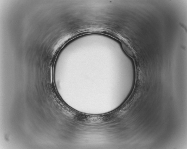 X0000102271171200808151857