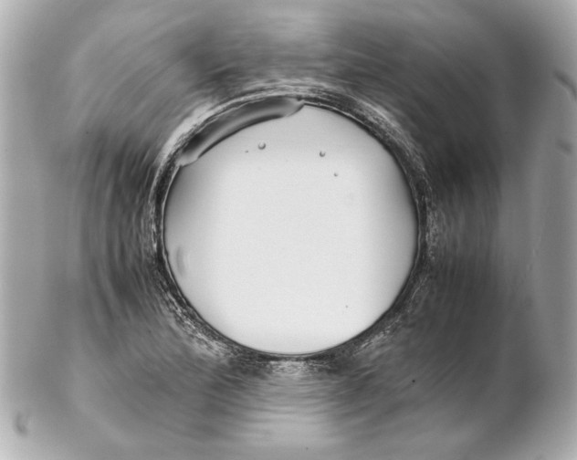 X0000102271172200808151857