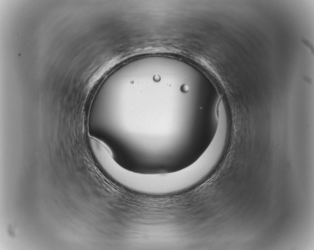 X0000102271173200808151857