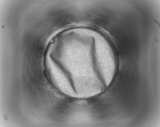 X0000102271174200808151857