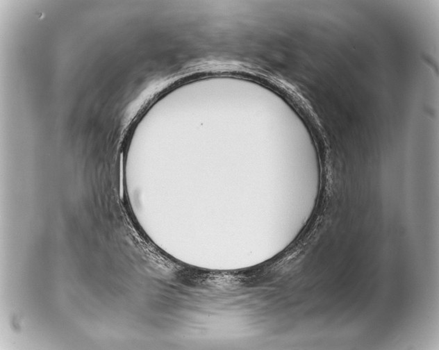 X0000102271175200808151857