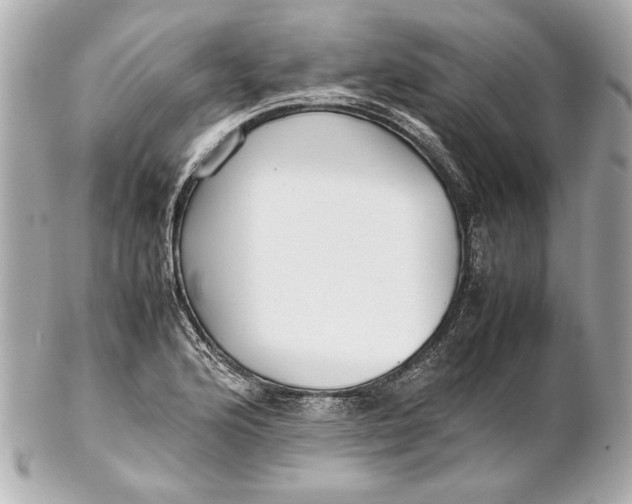 X0000102271176200808151857