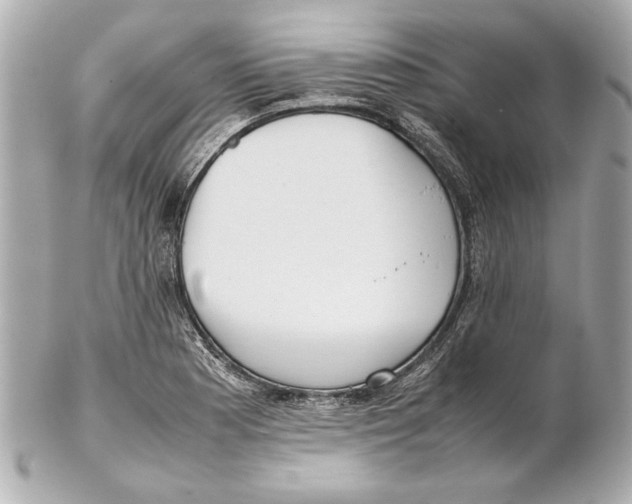 X0000102271177200808151857