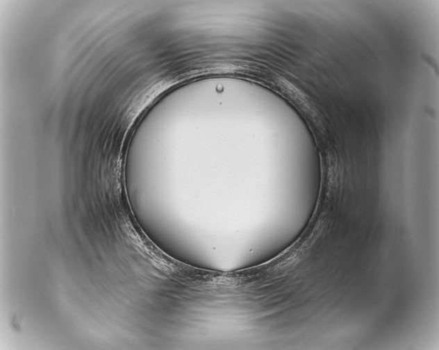 X0000102271178200808151857