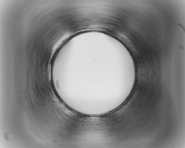 X0000102271180200808151857