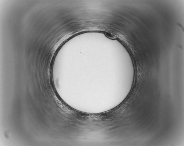 X0000102271181200808151857