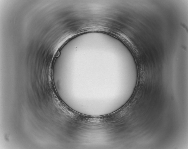 X0000102271182200808151857