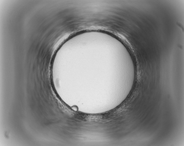 X0000102271183200808151857