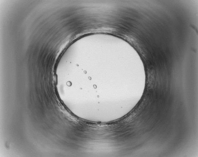 X0000102271184200808151857