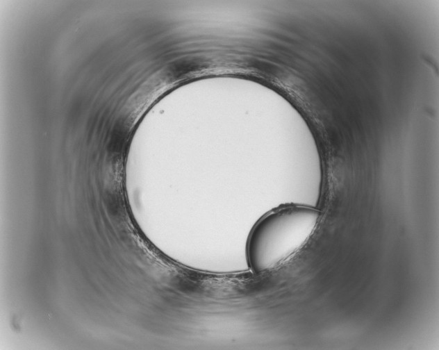 X0000102271185200808151857