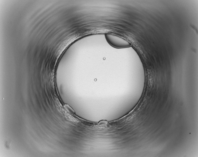 X0000102271186200808151857