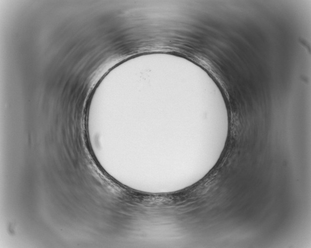 X0000102271187200808151857