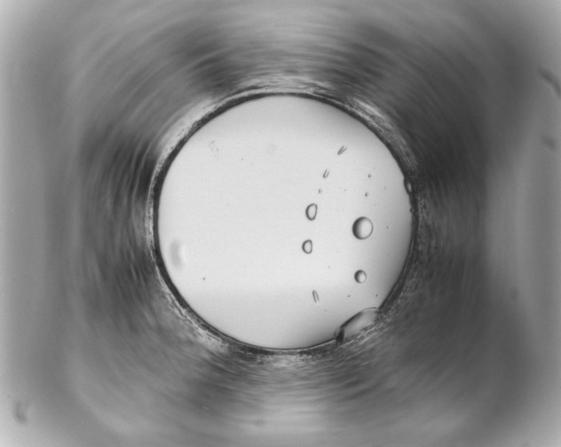 X0000102271188200808151857