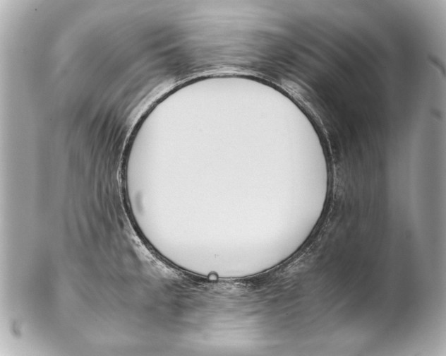 X0000102271189200808151857