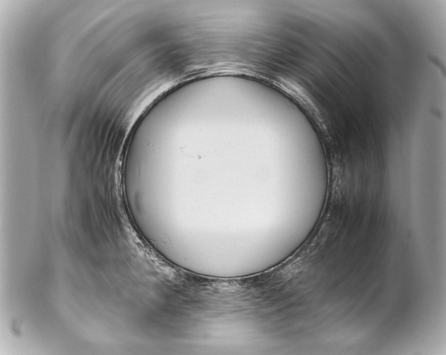 X0000102271190200808151857