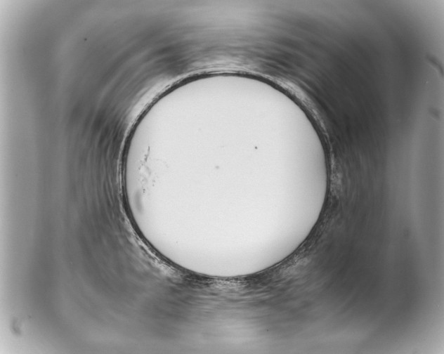 X0000102271191200808151857