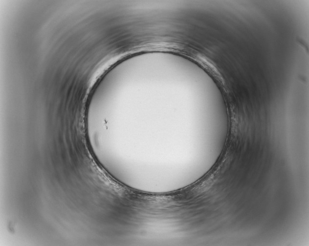 X0000102271192200808151857