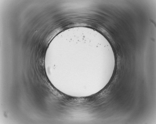 X0000102271193200808151857