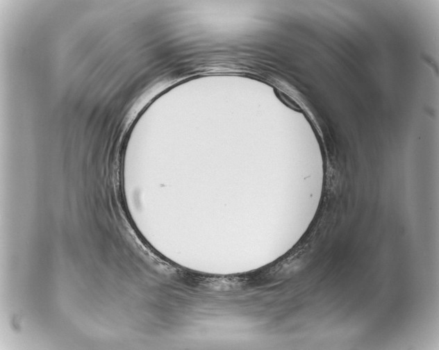 X0000102271195200808151857