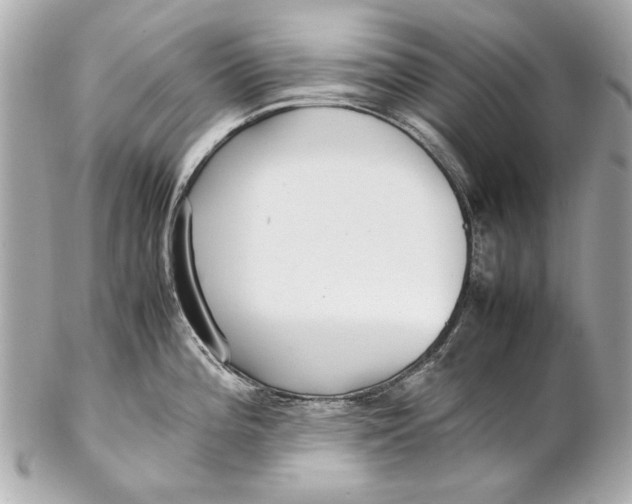 X0000102271196200808151857