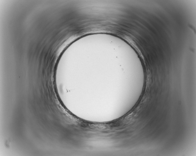 X0000102271197200808151857