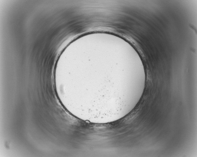 X0000102271199200808151857