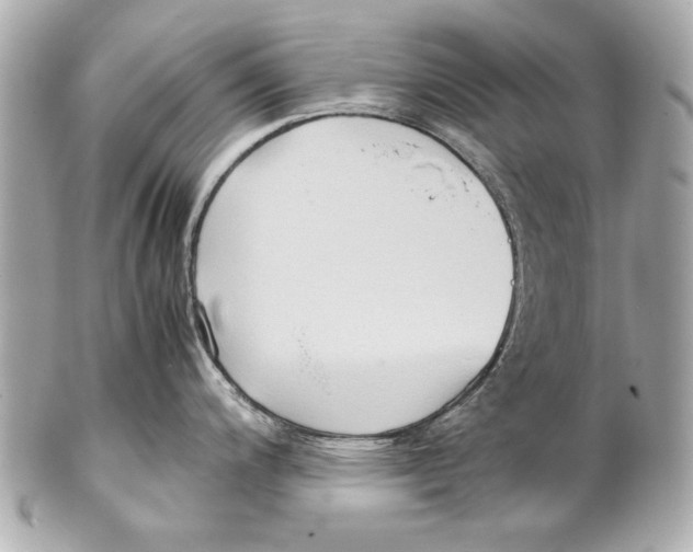 X0000102271200200808151857