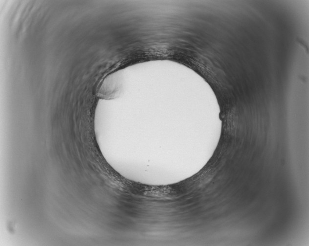 X0000102271201200808151856