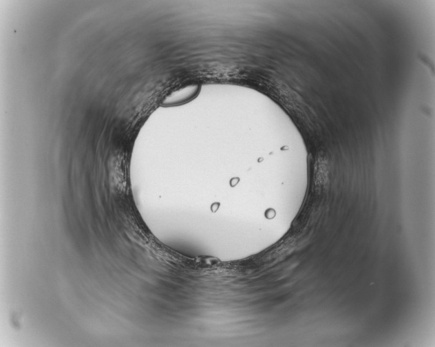 X0000102271202200808151856