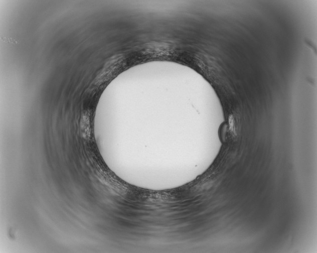 X0000102271203200808151856