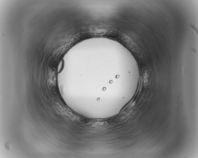 X0000102271204200808151856