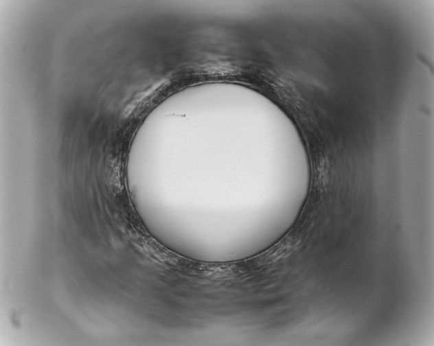 X0000102271205200808151856