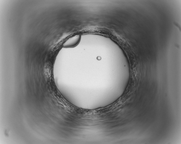 X0000102271206200808151856