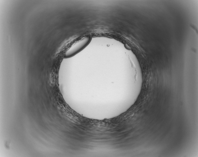 X0000102271207200808151856