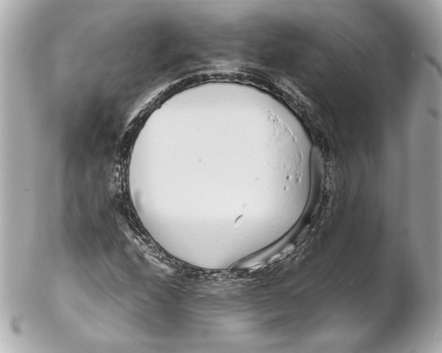 X0000102271208200808151856