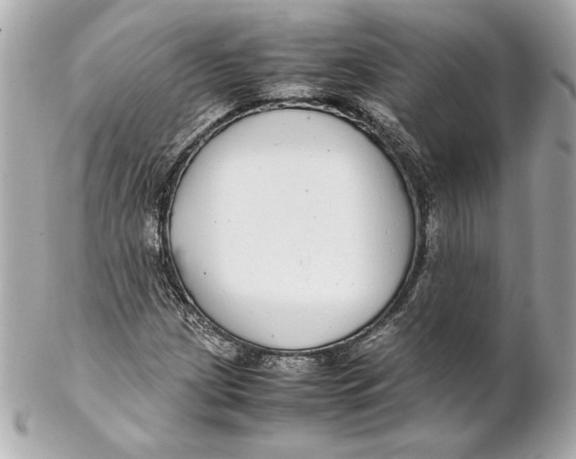 X0000102271209200808151856