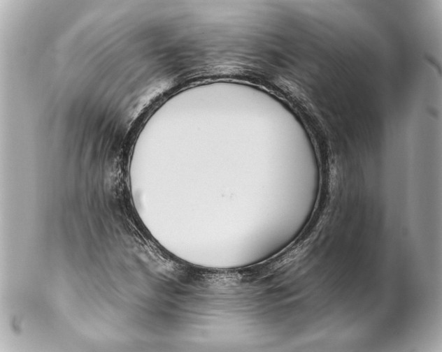 X0000102271210200808151856