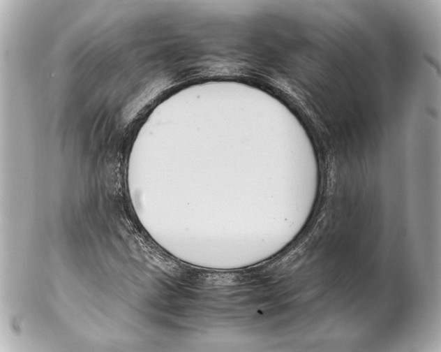 X0000102271211200808151856