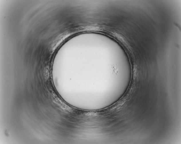 X0000102271212200808151856