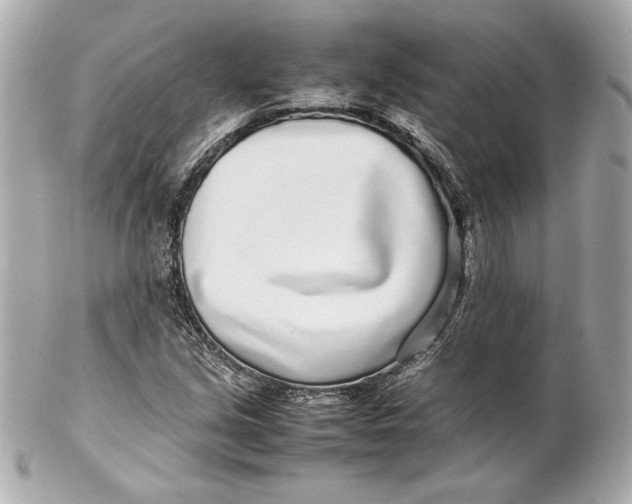 X0000102271213200808151856