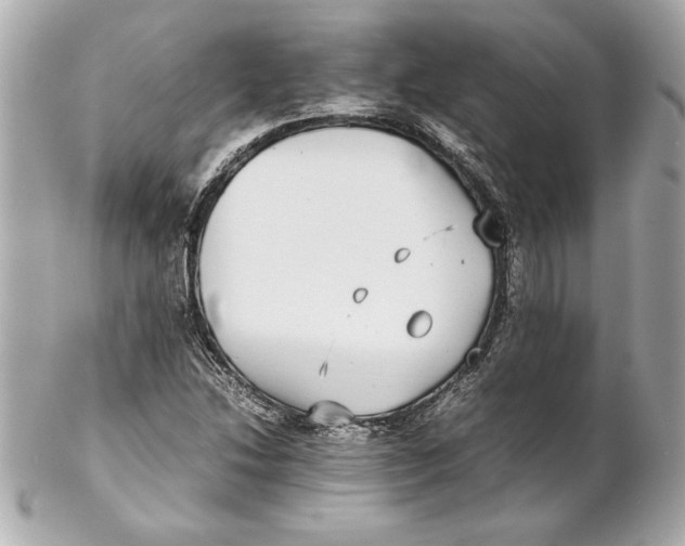 X0000102271214200808151857