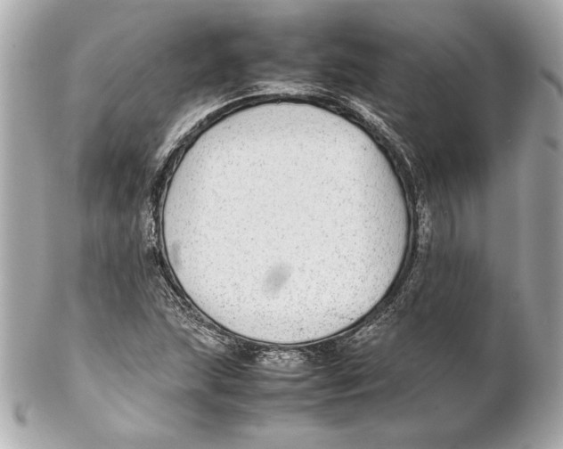 X0000102271215200808151857