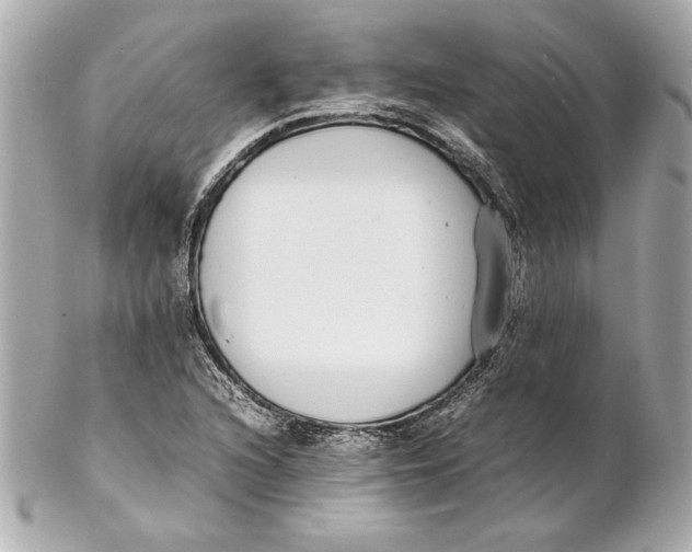 X0000102271216200808151857