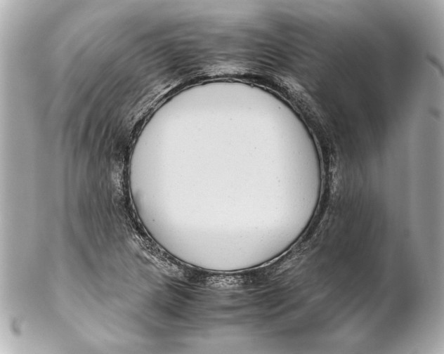 X0000102271217200808151857