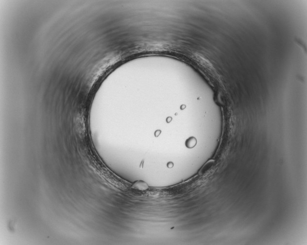 X0000102271218200808151857