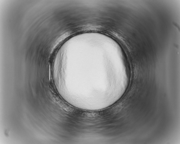 X0000102271219200808151857