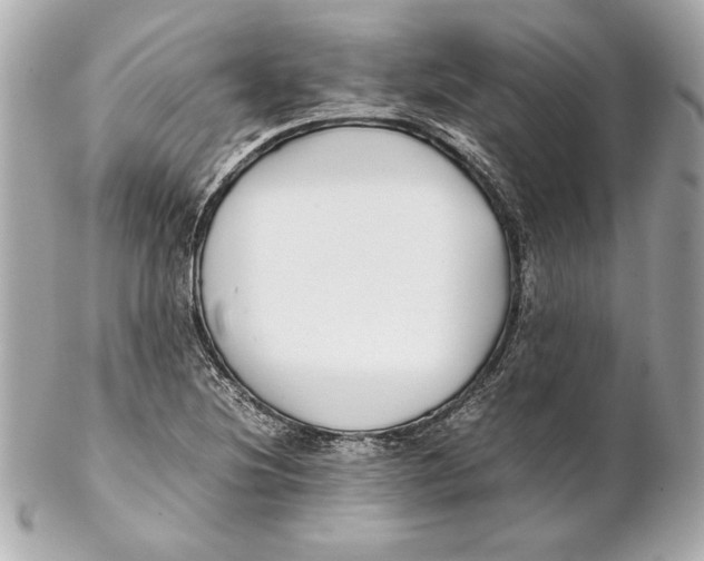 X0000102271220200808151857