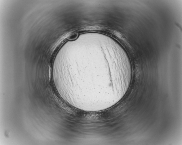 X0000102271221200808151857