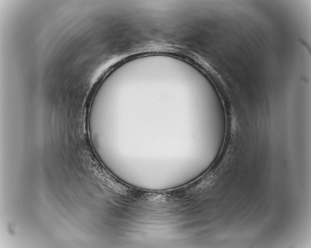 X0000102271222200808151857